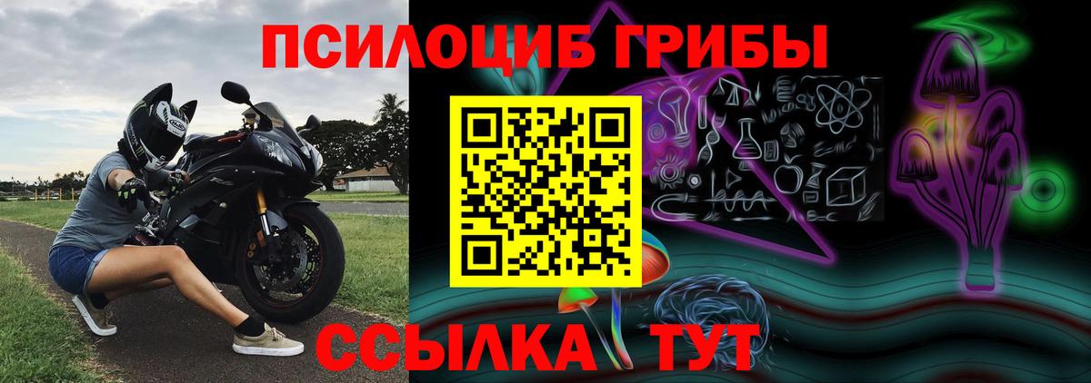 Псилоцибиновые грибы GOLDEN TEACHER  Вход с VPN  Галлюциногенные грибы мухоморы  Ипатово 